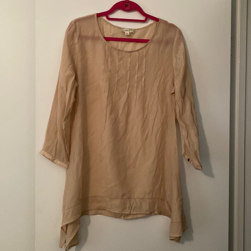 Tan Long sheer blouse